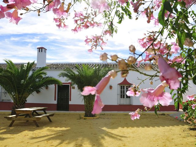 Casa Rural Huerto del Espino